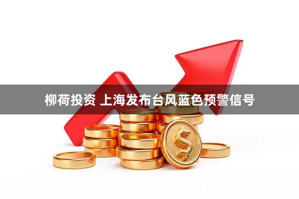 柳荷投资 上海发布台风蓝色预警信号