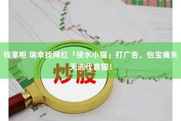 钱掌柜 瑞幸找网红「接水小猫」打广告，怡宝痛失天选代言猫！