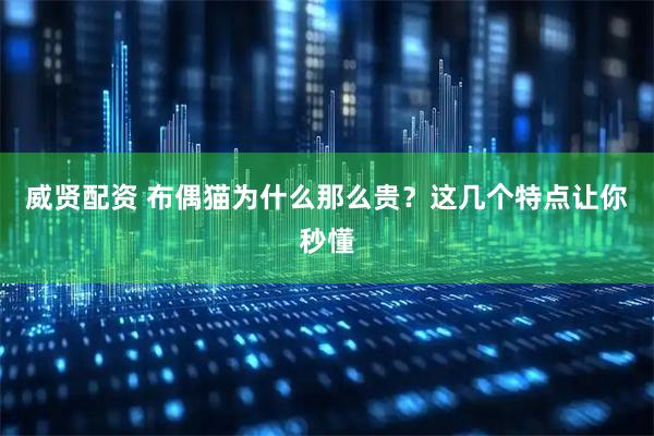 威贤配资 布偶猫为什么那么贵？这几个特点让你秒懂
